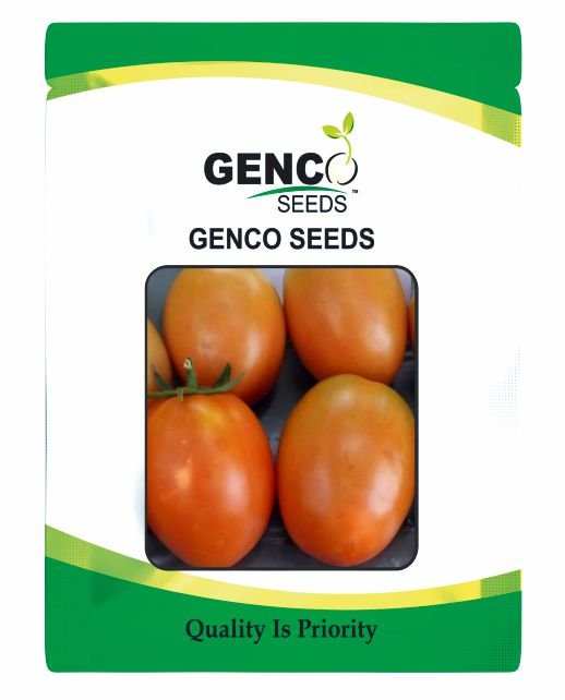 Tomato (टमाटर)Akash (आकाश)