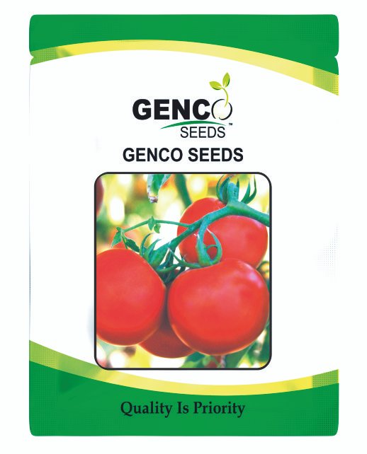 Tomato (टमाटर)Amar (अमर)