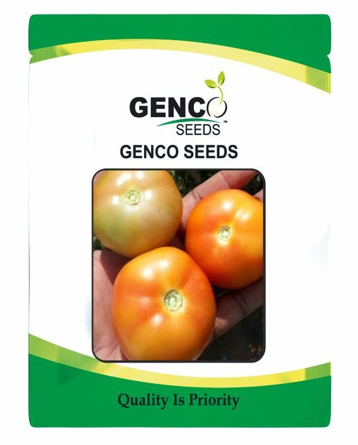 Tomato (टमाटर)Aarav (आरव)