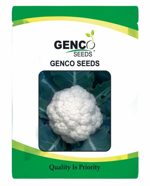 Cauliflower ( गोभी)Early Dhamaka (धमाका)