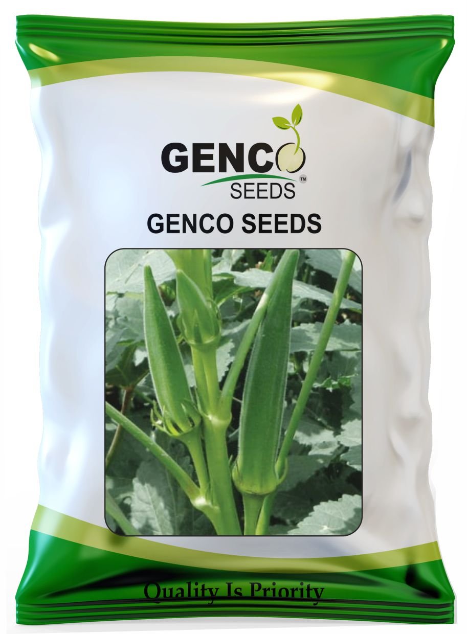 Bhendi ( भिंडी)Dhanraj -1 (धनराज -1)