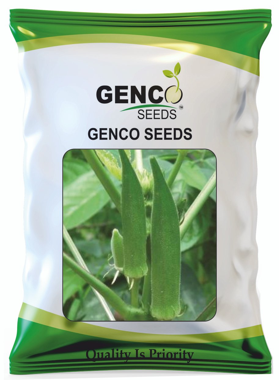 Bhendi ( भिंडी)Dhanraj -2 ( धनराज -2)