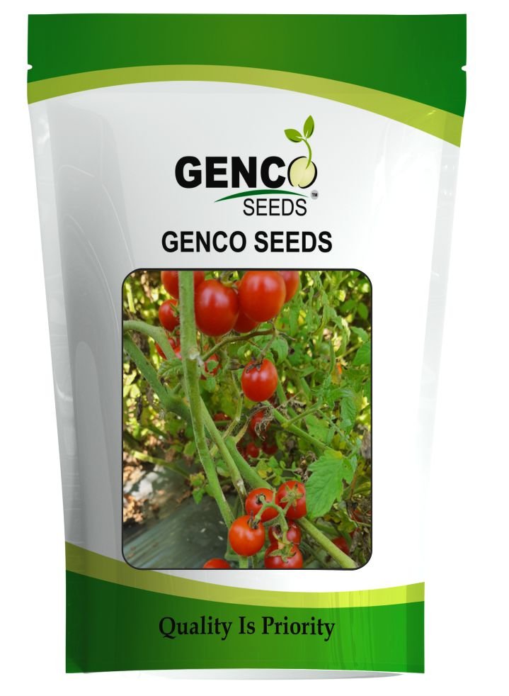 Cherry Tomato (चेरी टमाटर)Fuji (फ़ूजी)