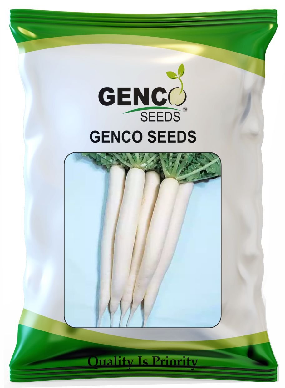 Radish (मूली)Genco White (जेनको व्हाइट)