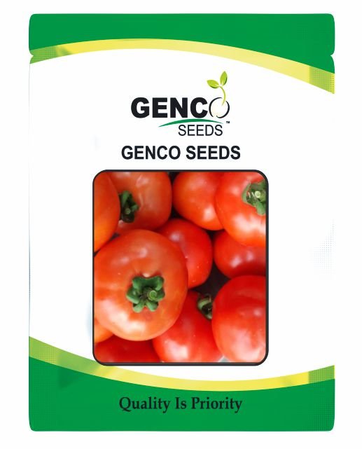 Tomato (टमाटर)Himalaya (हिमालय)