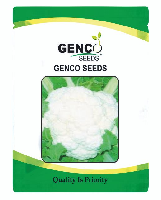 Cauliflower ( गोभी)Himashree Plus (हिमश्री +)