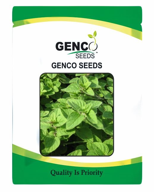 Oregano (ओरिगैनो)Ichika (इचिका)