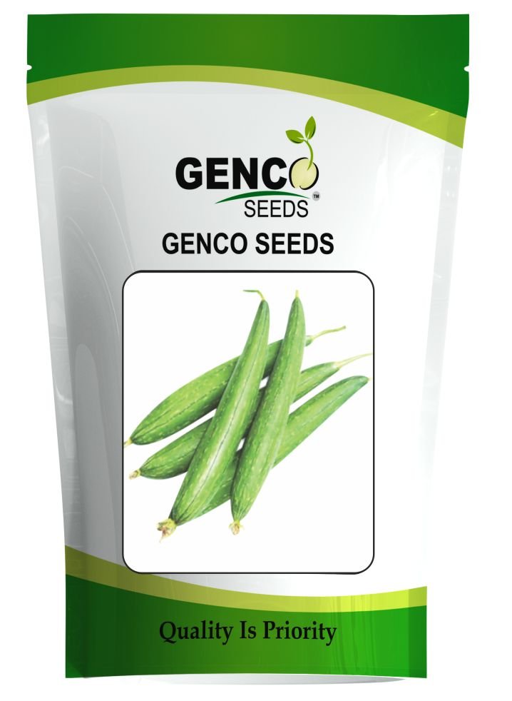 Sponge Gourd (स्पंज लौकी)Kavya (काव्या)