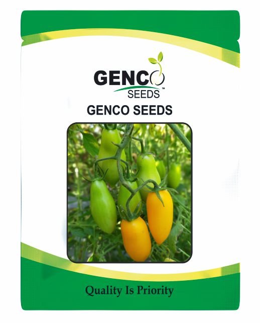 Cherry Tomato (चेरी टमाटर)Kimika (किमिका)