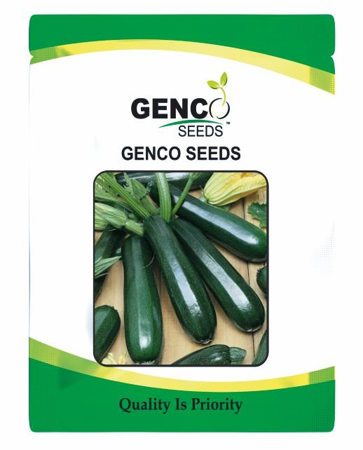 Zucchini ( Zucchini)Kayo (कायो)