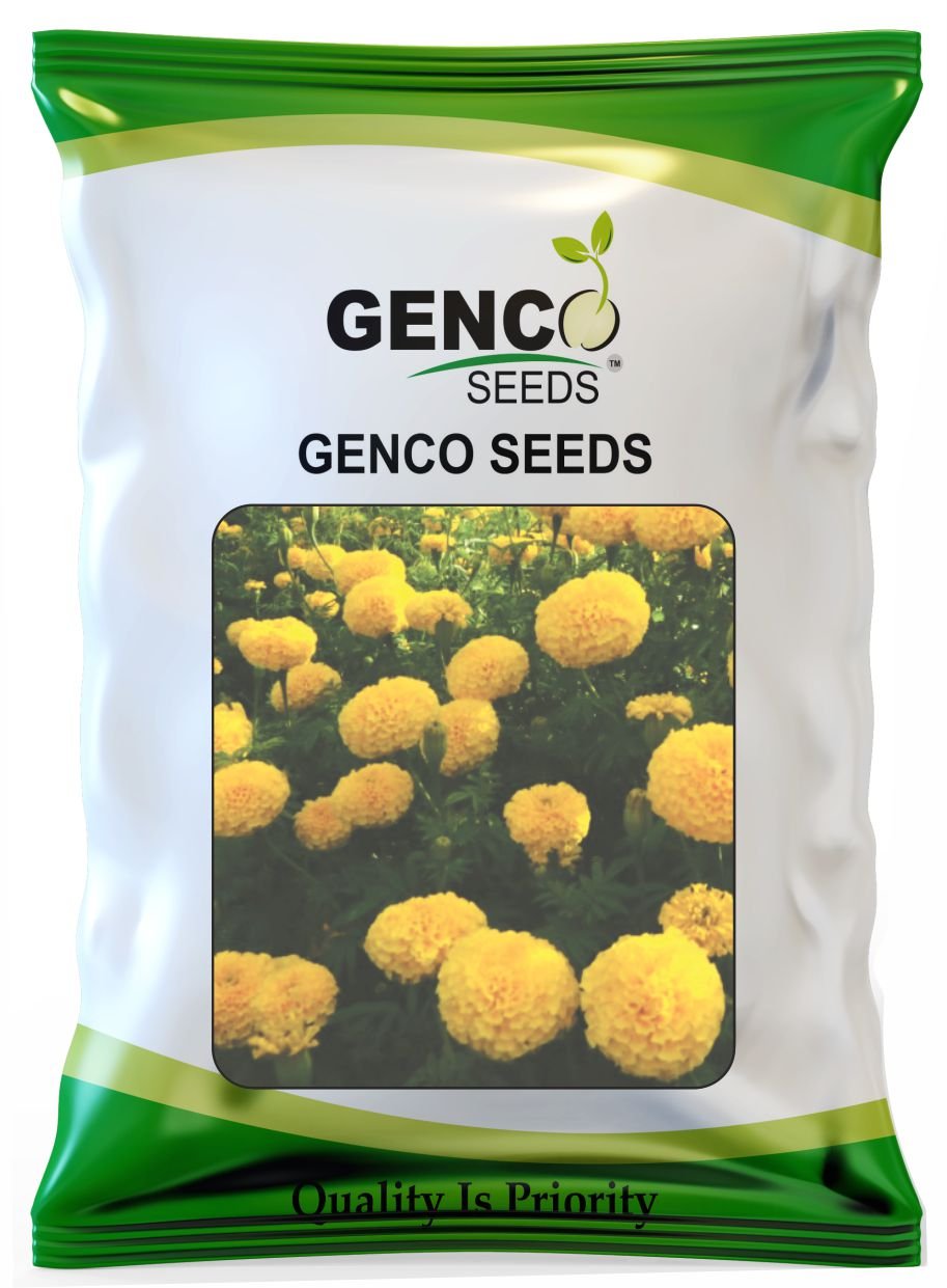 Marigold ( गेंदे का फूल)Laxmi (लक्ष्मी)