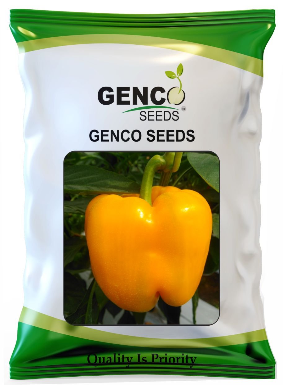 Color Capsicum ( रंगीन शिमला मिर्च)Lucky (Lucky)