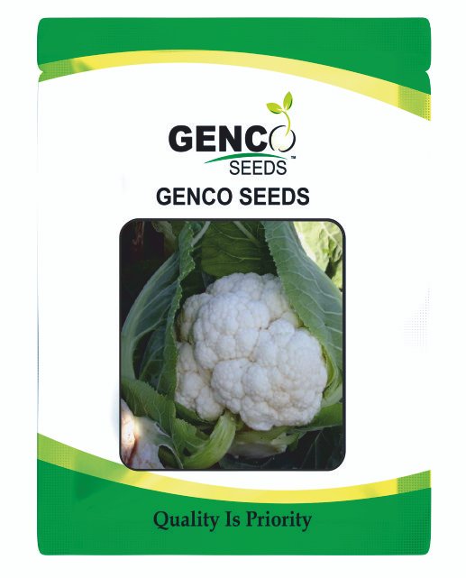 Cauliflower ( गोभी)Mahima (महिमा)