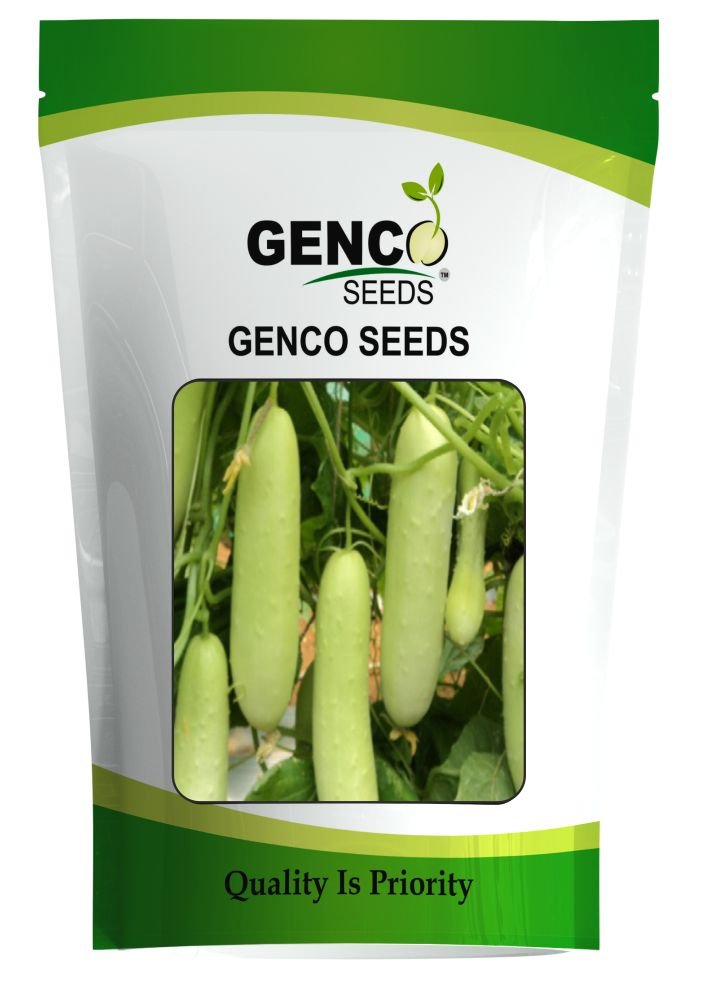 Cucumber (खीरा)Mirai (Mirai)