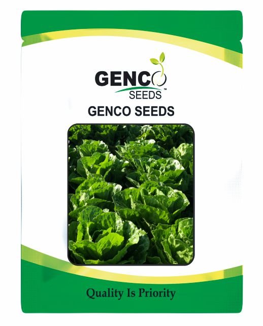 Lettuce (सलाद)Niko (निको)