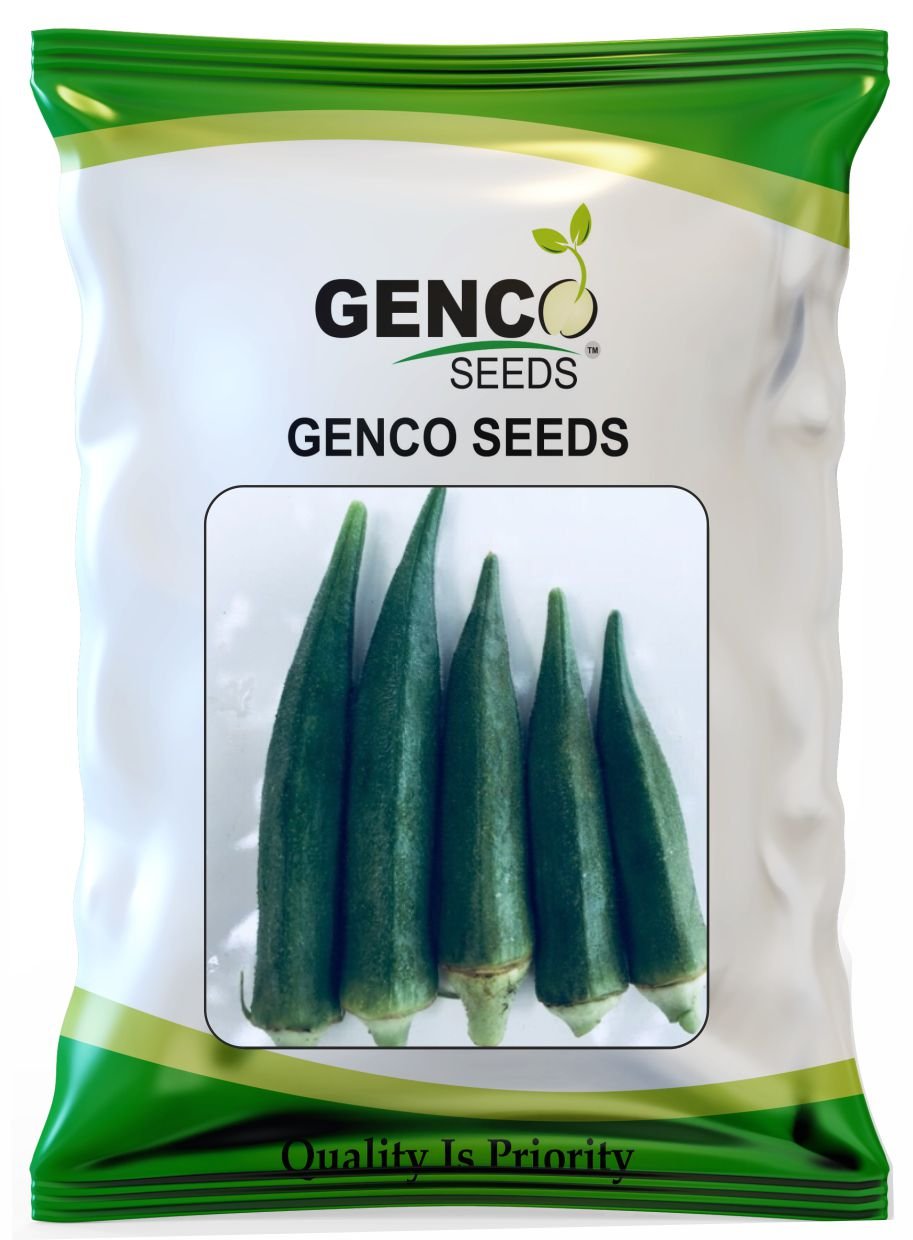 Bhendi ( भिंडी)Riddhi ( रिद्धि)