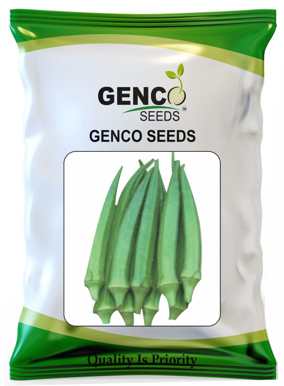 Bhendi ( भिंडी)Siddhi (सिद्धि)