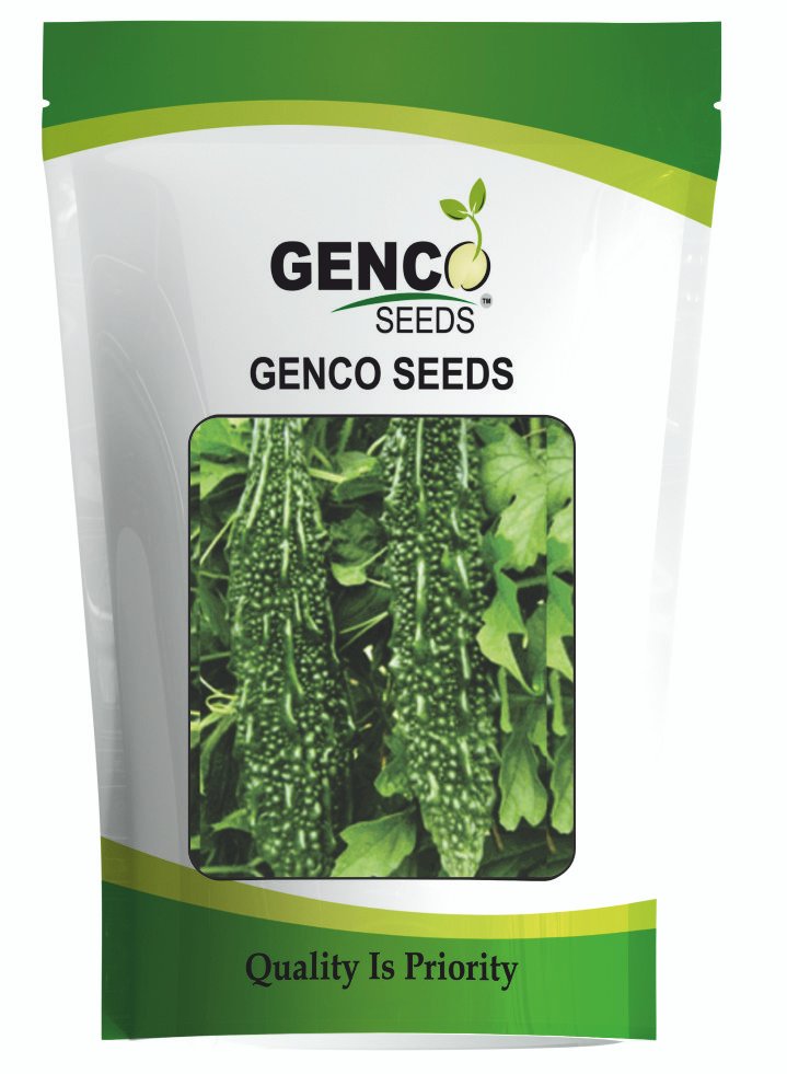 Bitter gourd (करेला)Somya (सोम्या)