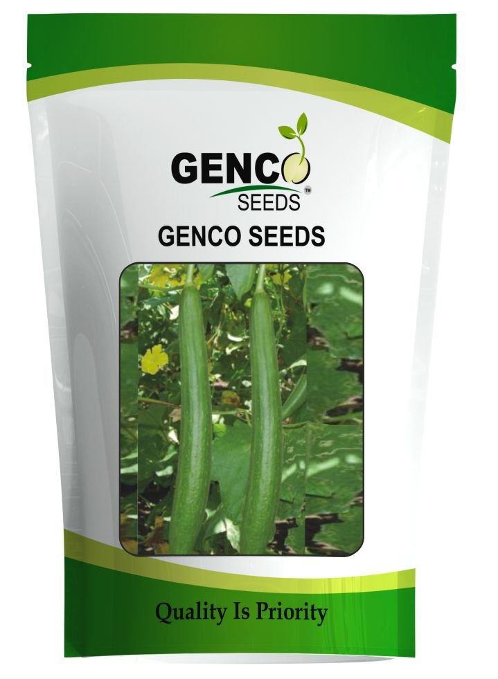 Sponge Gourd (स्पंज लौकी)Sonu (सोनू)