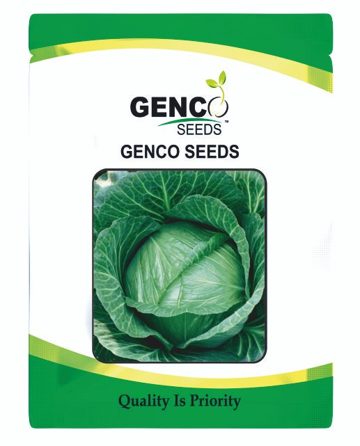 Cabbage (पत्ता गोभी)Swagat (स्वागत)