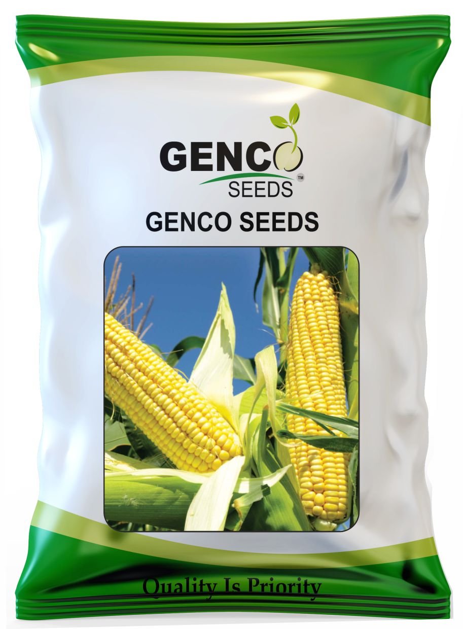 Sweet Corn (स्वीट कॉर्न)Sweet 21 (स्वीट 21)