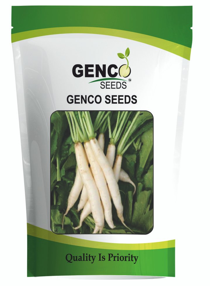 Radish (मूली)Tanu (तनु)