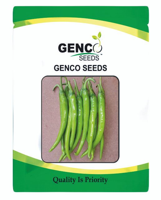 Chilli (मिर्च)Tejan (तेजन)