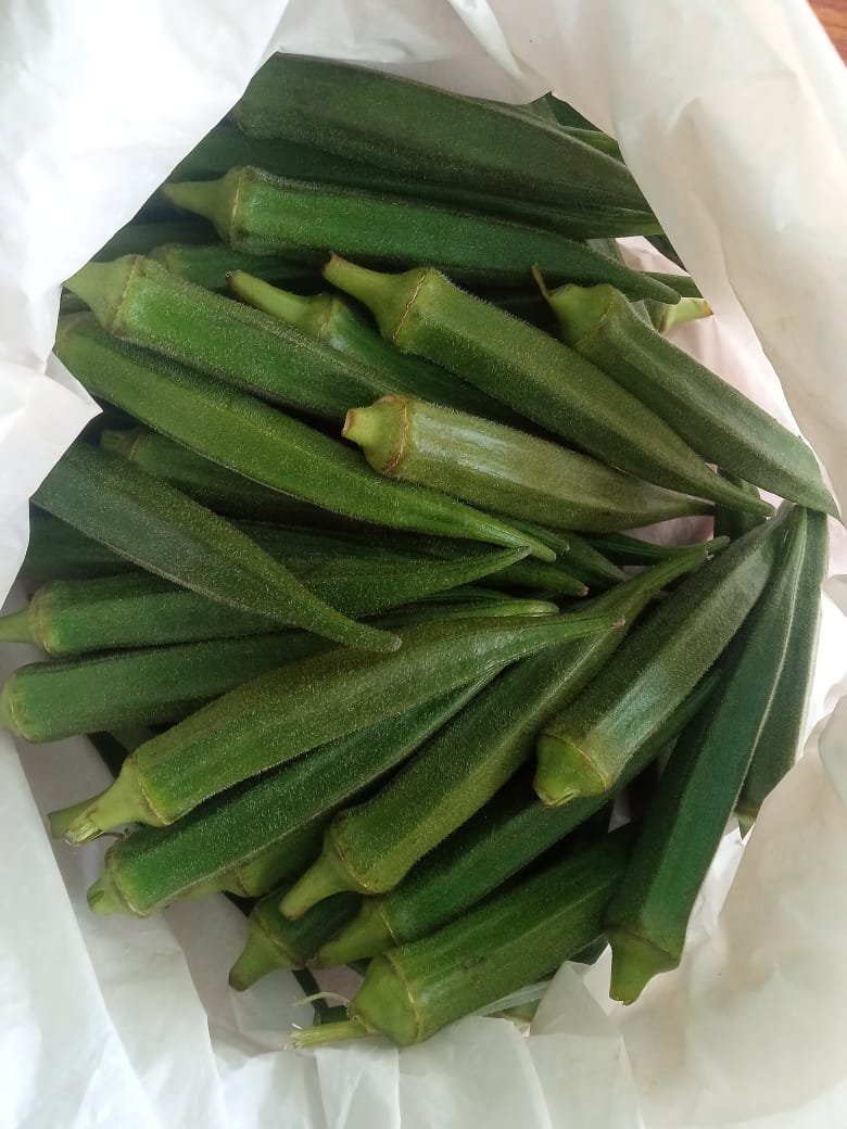 Bhendi ( भिंडी)Dhanraj -1 (धनराज -1)