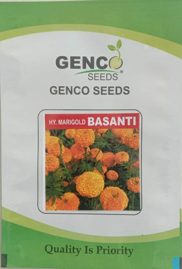 Marigold ( गेंदे का फूल)Basanti (बसंती)