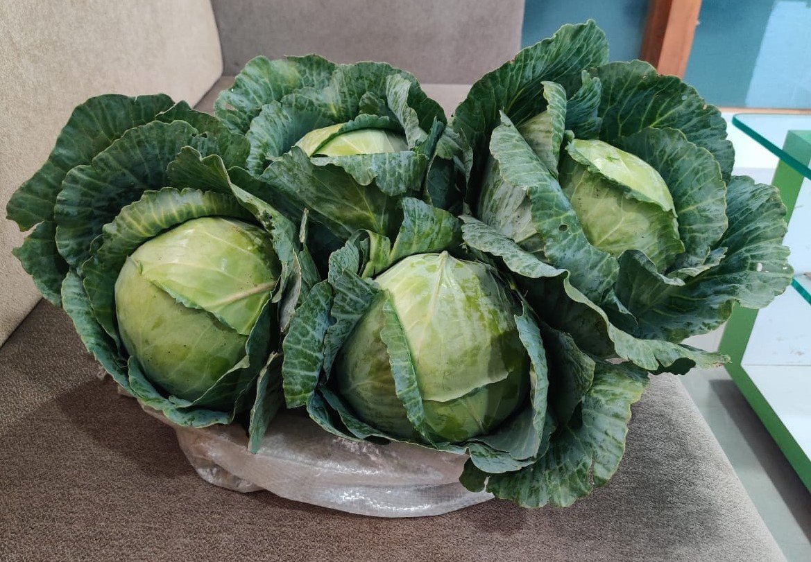 Cabbage (पत्ता गोभी)Palak (पलक)