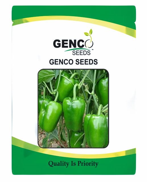 Capsicum (शिमला मिर्च)ZOYA+ ( जोया+)