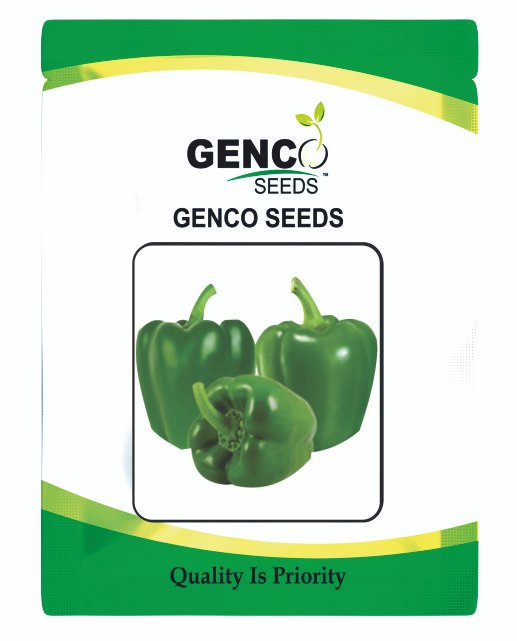 Capsicum (शिमला मिर्च)Zoya (जोया)